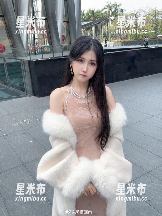 不呆猫的居家猫猫女友作品大合集：快来看看她如何用幽默征服喵星人！.txt