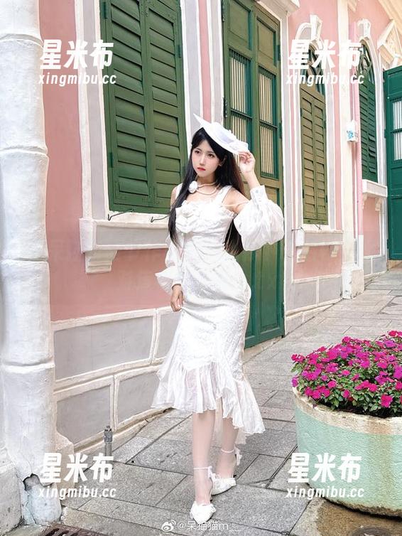 不呆猫 不呆猫万圣节作品集:让你下载后秒变派对焦点的秘籍!.txt