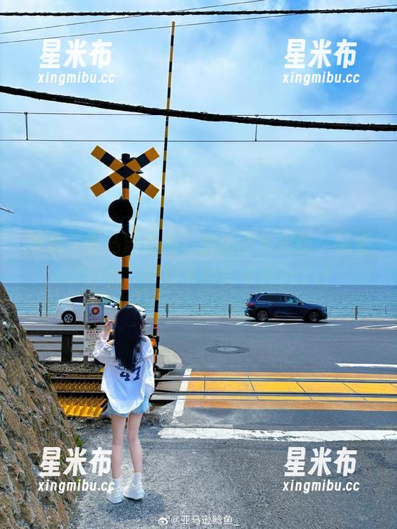 探索“亚马逊鲶鱼”最新图集更新，感受“忍者”主题下的艺术魅力.txt