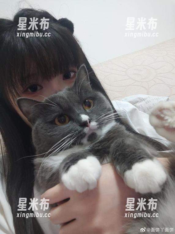 汇聚美图与写真之精华：面饼仙儿的网袜蕾姆呈现独特风貌.txt